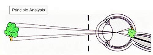 Digital Shoppy Digital Shoppy Anti-myopia Pinhole Glasses Eye Exercise Eyesight Improve Natural Healing Vision Care Eyeglass (Golden Frame)