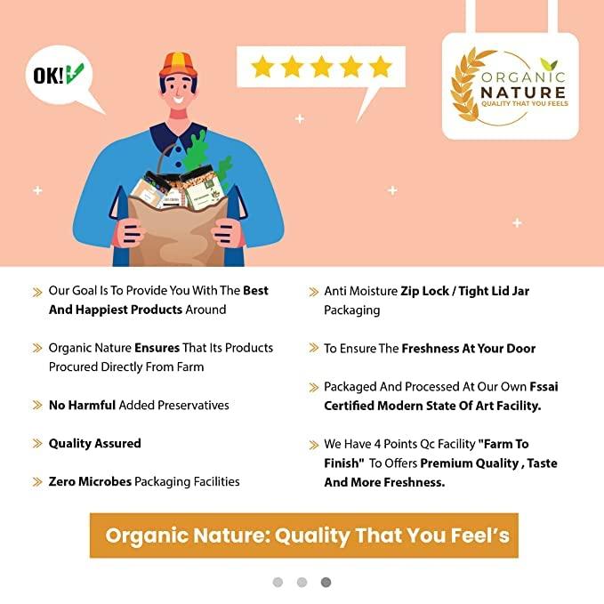 ORGANIC NATURE Organic Nature Butterscotch Chips Butterscotch Chips for Cake Decoration, Butterscotch Candy Bits, Crunchies for Cake Decoration, Ice Cream, Shakes (Pack of 400 Gram)