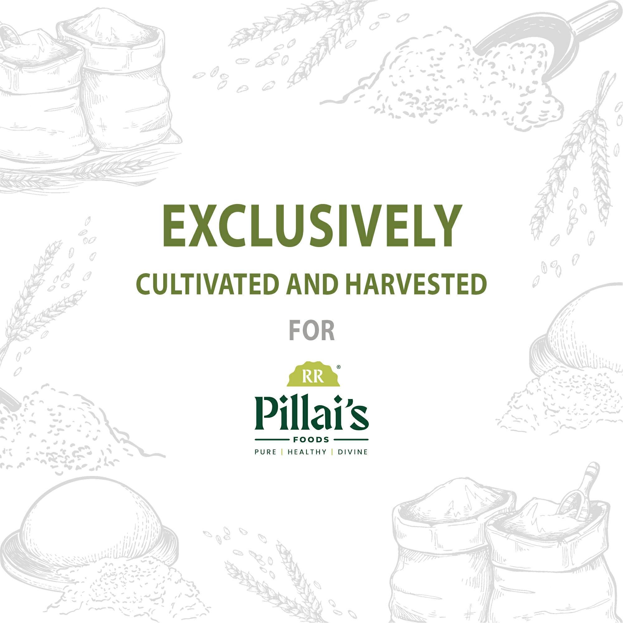 RR PILLAI\'S RR PILLAI\'S Barnyard Millet Flour - 500g