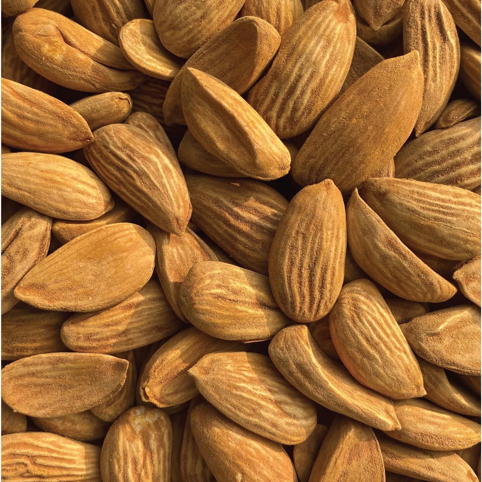 Sindhi Sindhi Dry Fruits Jumbo Mamra Badam, 5 Star Quality Mamra Almonds, Pure Mamra Without Shells, High Oil Content, 500 Grams