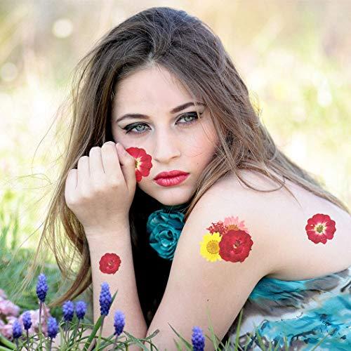 Anjetan Anjetan Real Dried Flower Natural Pressed Flower Leaves Dried Petal Dried Pressed Flower for Bookmark Natural Dried Petals Pressed Petals