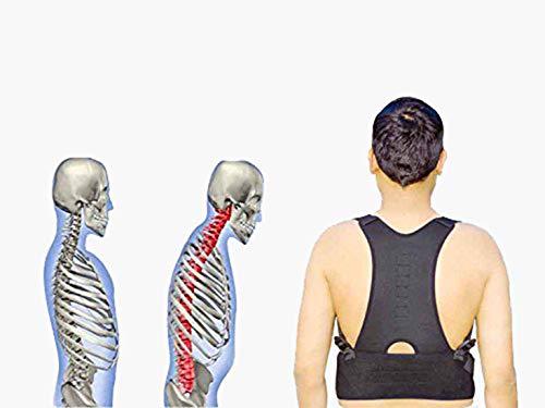 House of Quirk House of Quirk Posture Support Brace | Best Fully Adjustable Support Brace | Improves Posture and Provides Lumbar Support | For Lower and Upper Back Pain (XL)