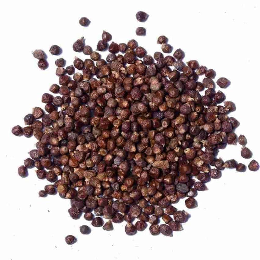 Ayurvedic Zone AYURVEDIC ZONE Tomar Seeds and Powder - Tomar Beej - Tumbru - Tomar - Timur - Tomru - Nepali Dhania - Zanthoxylum Alatum Plant Seeds (Seeds, 100 gm)