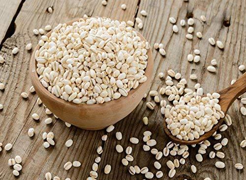 Organic Bites Organic Bites Pearl Barley (Jau Ghat) (400)