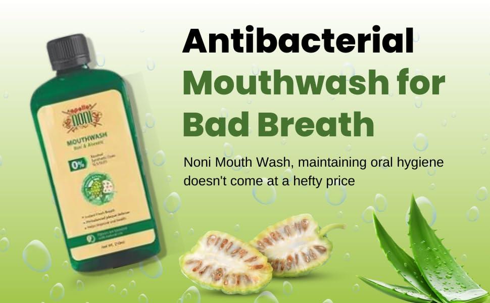 apollo NONI Apollo Noni Noni Toothpaste for Teeth Whitening & Cavity Protection (150g) and Mouthwash Liquid 0% Alochol For Teeth Cleaning, Antibacterial Mouthwash for Bad Breath | Removes Germ | 250ml