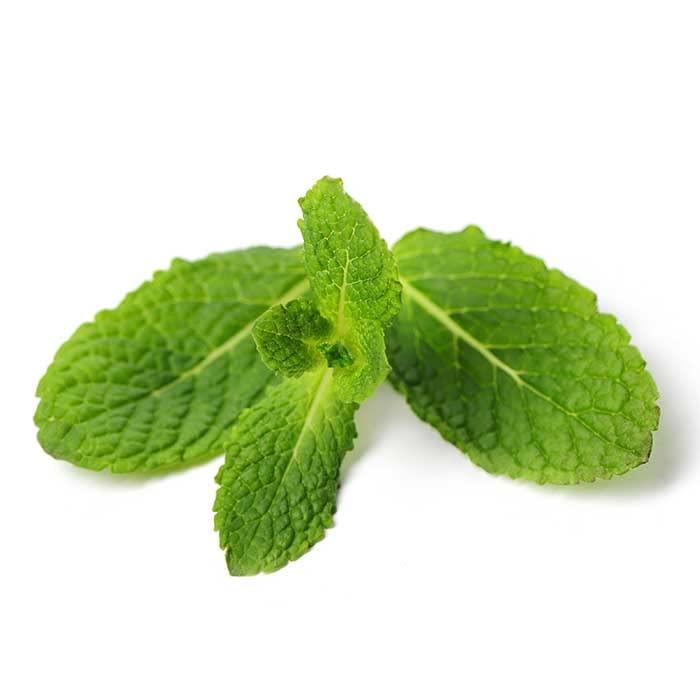 looms & weaves 100% Pure & Natural Freeze Dried Mint Leaves - 25 GMS (Special Grade Seasoning Herbs)