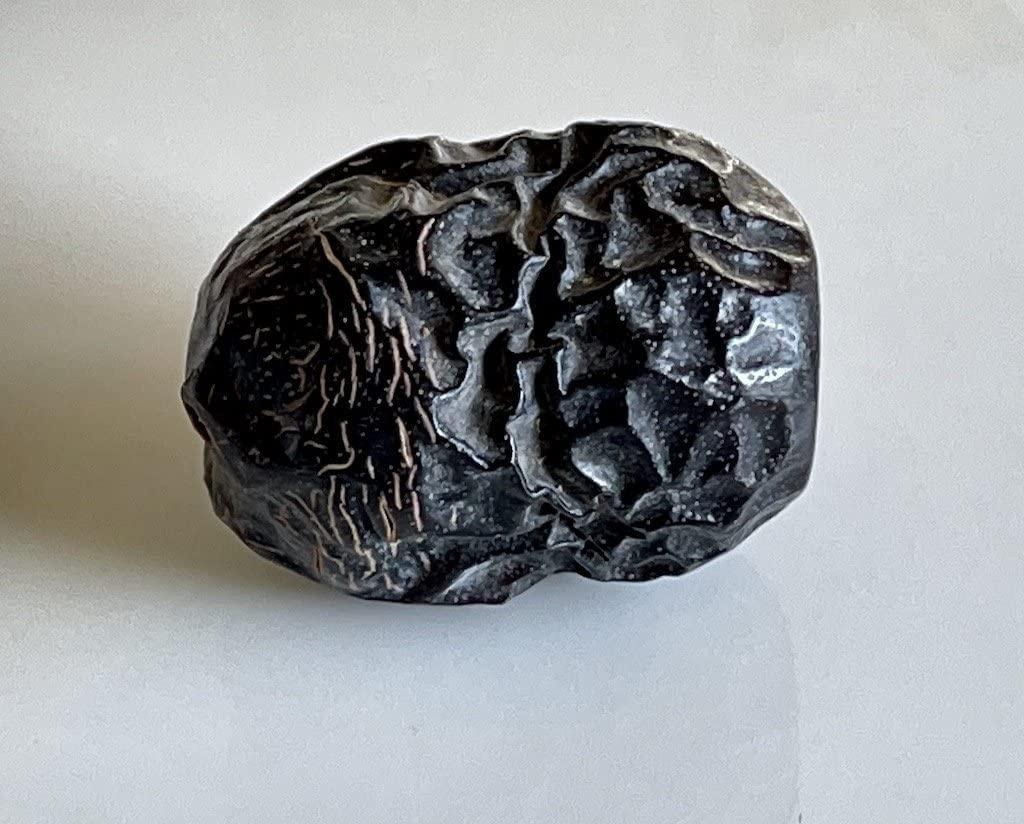 AWFAAKI Awfaaki Ajwa Dates | Ajva Dates | Saudi Arabia (500 g)