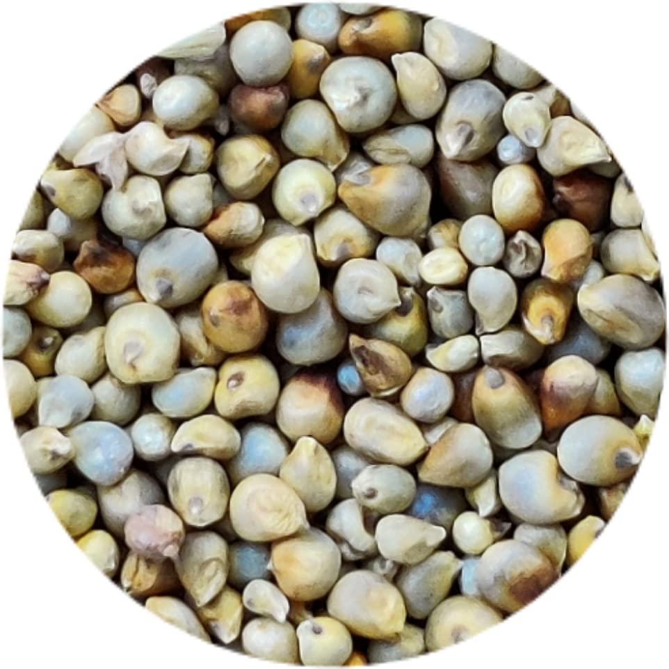 Kitchen Jungle Kitchen Jungle Seven Assorted Grains | 7 Dhan | Dhaan | sapt dhany for Pooja (  / 7 ) (10 Grams Each)