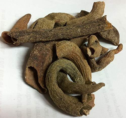 Nutrixia Food kakadshingi-Pistacia integerrima-KARKATSHRUNGI (50 Gms)