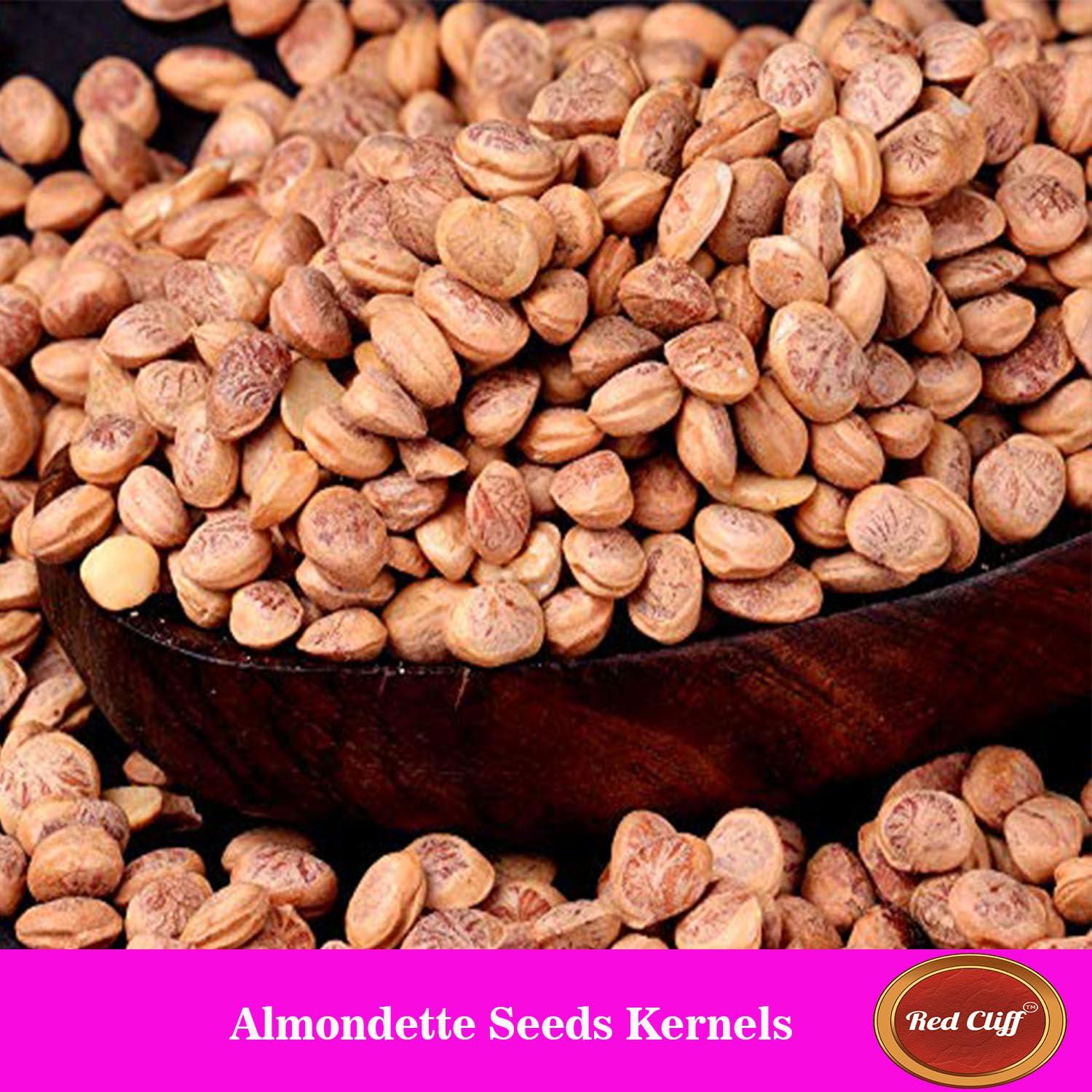 RED CLIFF Red Cliff Almondette Kernels | Charoli Dry Fruits | Chironji Seeds Organic | Chiraunji Dana | (Almondette Kernels | 200g |)
