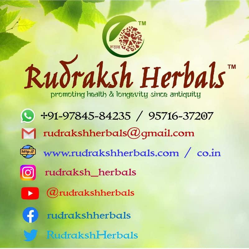Generic Rudraksh Herbal Shallaki Powder 100% Boswellia Serrata Gum-Resin 100gm