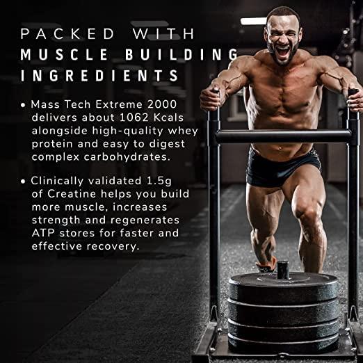 MuscleTech MuscleTech Masstech Extreme 2000 High Protein Food For Weight Gainer (30G Protein,1075 Kcal,1.5G Creatine&Added Vitamin&Minerals) Veg Mass Gainer-Vanilla Milkshake-3Kg,Powder