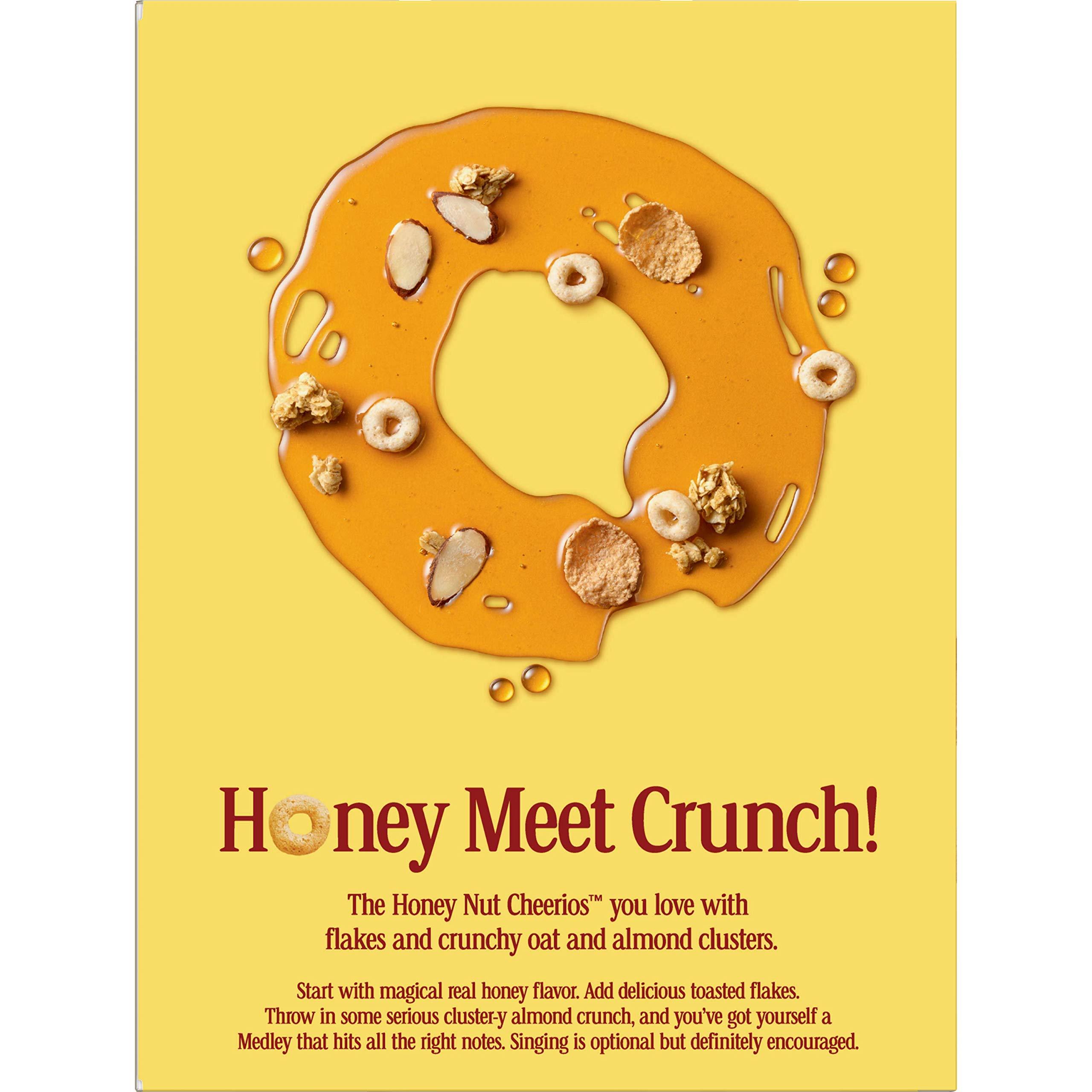 General Mills General Mills Honey Nut Cheerios Medley Crunch Pouch, 371 g