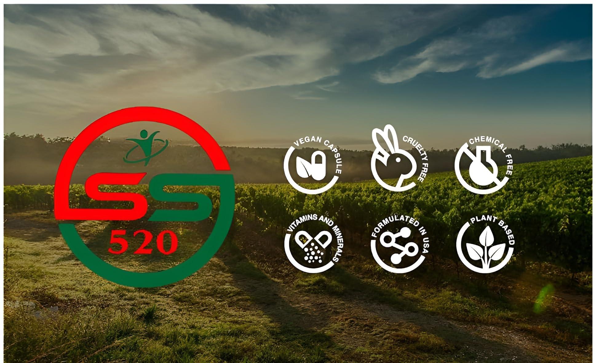 SS520 SS520 Amar Bel 200g. Amarbel AkashBel Swarn lata Afteeyun Aftimoon Dodder Cuscuta reflexa