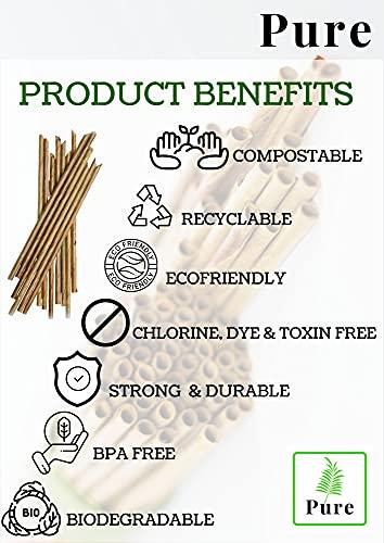 Pure Pure Coconut Leaf Straws for Drinking | 100% Natural, Biodegradable, EcoFriendly & Sustainable | Disposable Drinking Straw for Kids and Adults | Pack of 100 (5 mm diameter/140 mm Length)