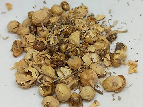 NATURALIFE NATURALIFE\'S-*PANNIR POO*-Indian Rennet Flower Dried I Withania coagulans Dunal I Paneer Poo/ I Paneer Phool/Paneer Doda I Panneru-gadda (250 GRAMS)