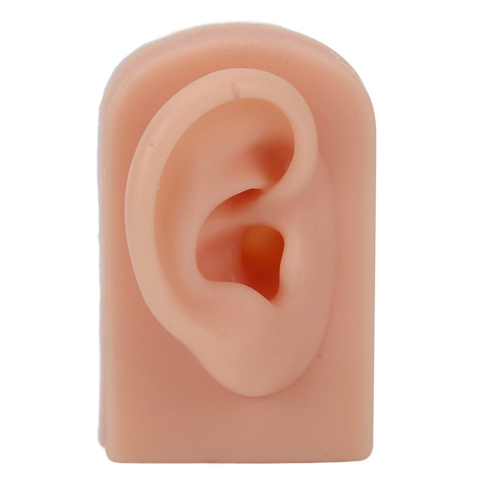Bannt Fake Ear Model, Easy To Use Right Ear Flexible Silicone Human Ear Model for Earrings Display for Ear Piercing Training Dark Complexion