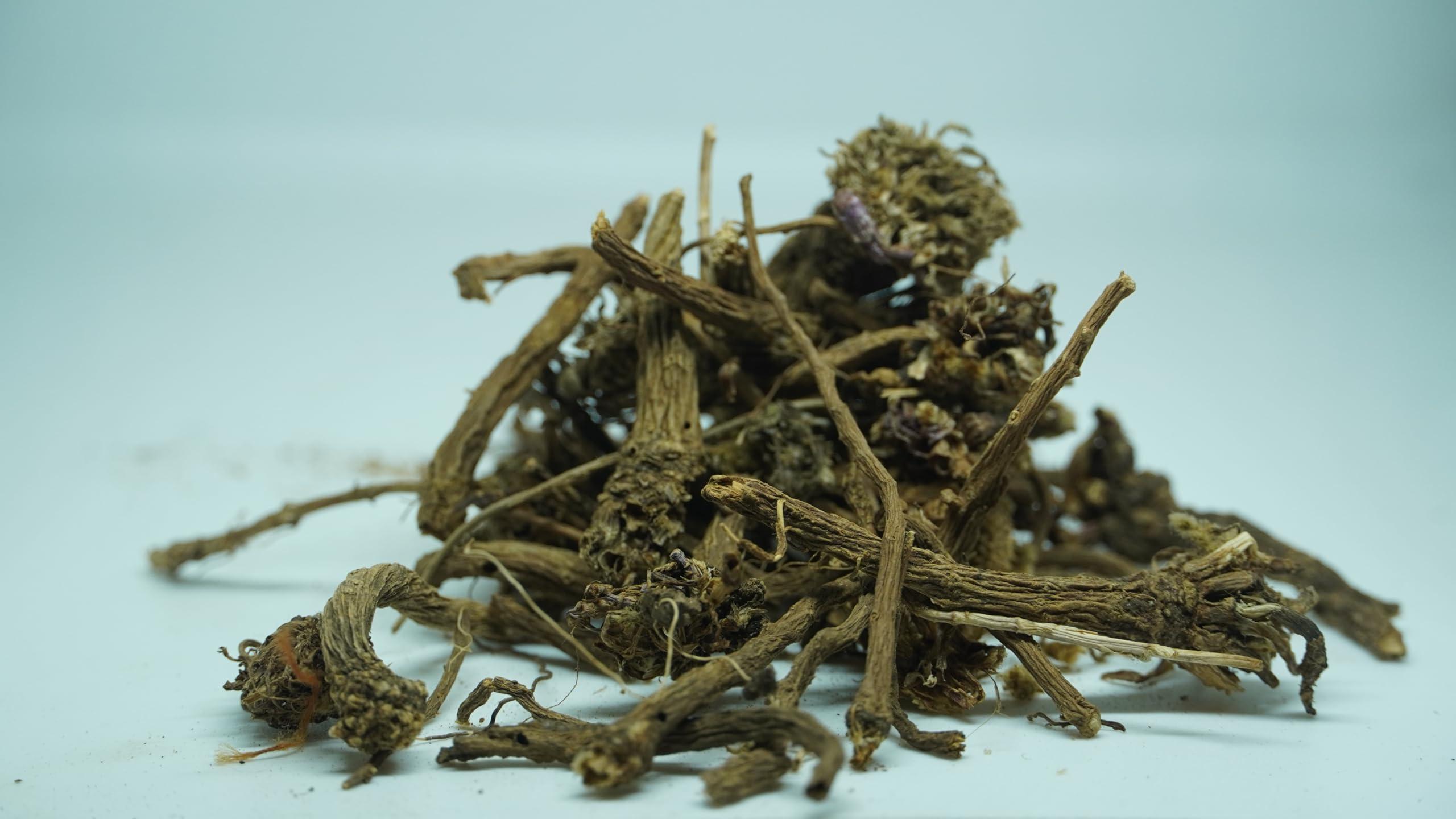 THOGAI THOGAIS -AGRAKARAM- / Pellitory/Mount Atlas Daisy/Spanish Chamomile/Akarkara/Akkorakaro/Aakarkara/Akkalakara/Akarakaram/Akkirakaram (25 GRAMS (PACK OF 1))