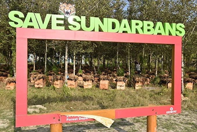 BONPHOOL BONPHOOL Natural Mangrove Honey, 250 Grams - Pack of 2