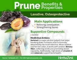 Watheen Watheen Pitted Prunes from Argentina for Healthy Snacking, Dried and Ready to Eat (250)