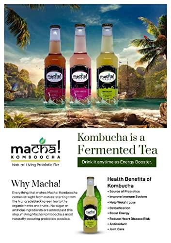 Macha! Macha! Komboocha - Kombucha Standard Flavor-Organic Probiotic Refreshment-Reenergizing Fermented Tea-Preservatives free Energy Drink, 275 ml (Pineapple Punch, Pack of 4)