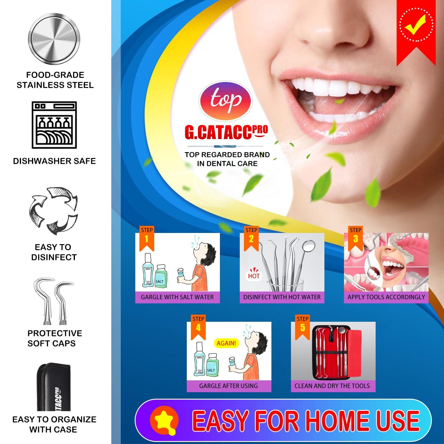 G.CATACC G.CATACC Dental Tools, Dental Pick Plaque Remover, Dental Scaler, Dental Floss, Teeth Cleaning Dental Hygiene Kit - 6 Pack (Silver)