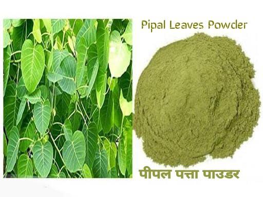 SS520 SS520 Pipal Leaf Powder 200g. Arasam Ilai Peepal Leaves Ficus Religiosa Helpful for cough asthma diarrhoea ear pain toothache