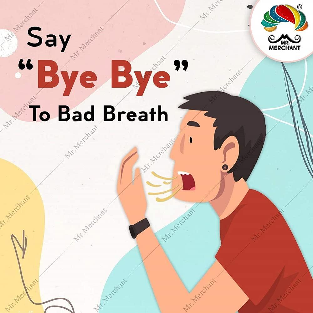 Mr. Merchant Mr. Merchant Mouth Freshener Mega Combo Gulab Mukhwas, Rajasthani Mukhwas, Mumbai Mix Mukhwas, Punjabi Mukhwas, Green Madrasi Sauf , White Madrasi Sauf (Pack of 6), 1.8 kg