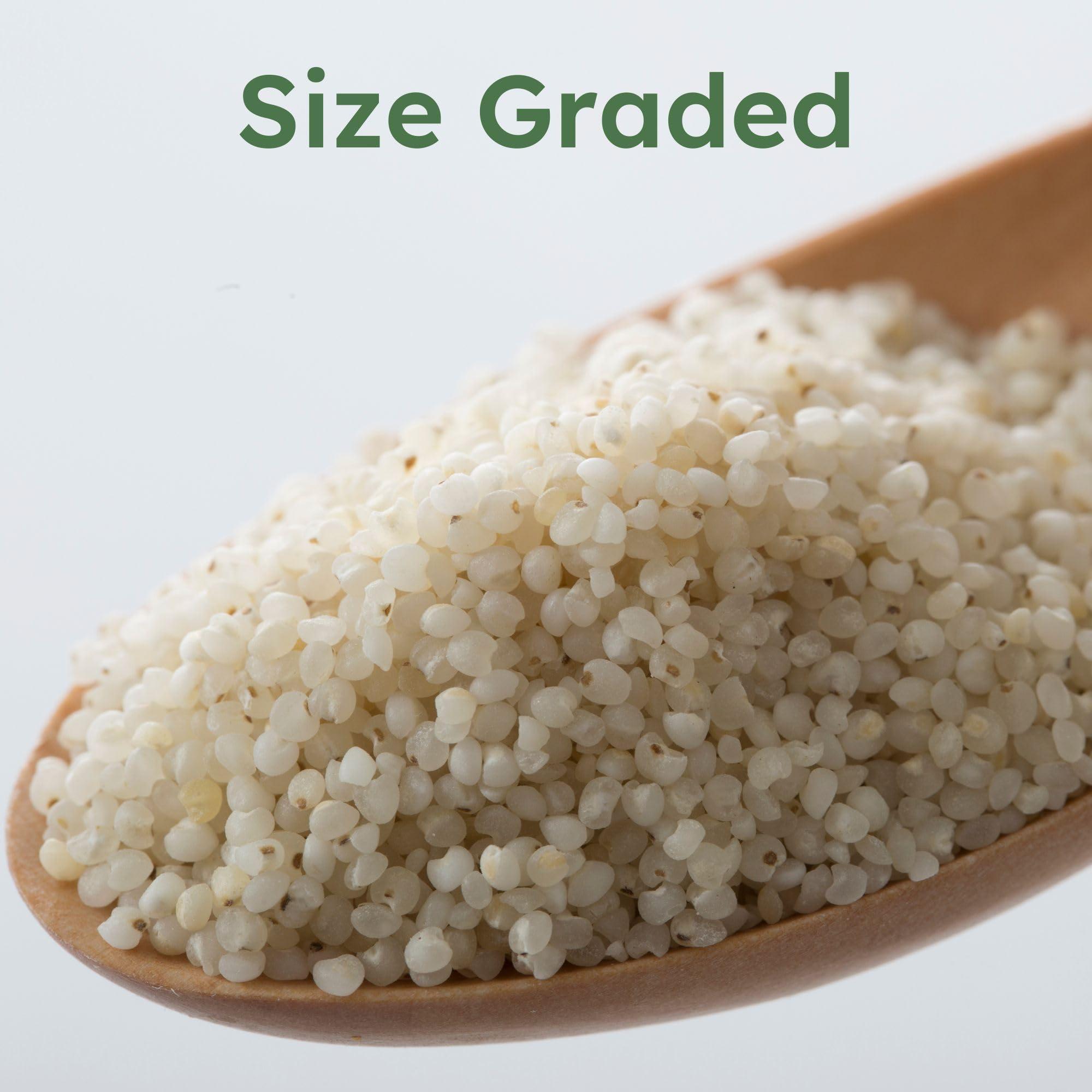 Forgotten FORGOTTEN Foods \"Barnyard Millet\" 900g - Organic Native Ancient Whole Grains - Udhalu Siridhanya, Kuthiravalli, Bhagar, Varai, Sama, Samo, Samvat Chawal, Vrat ke Chawal, Mordhan, Moraiyo, Sanwa