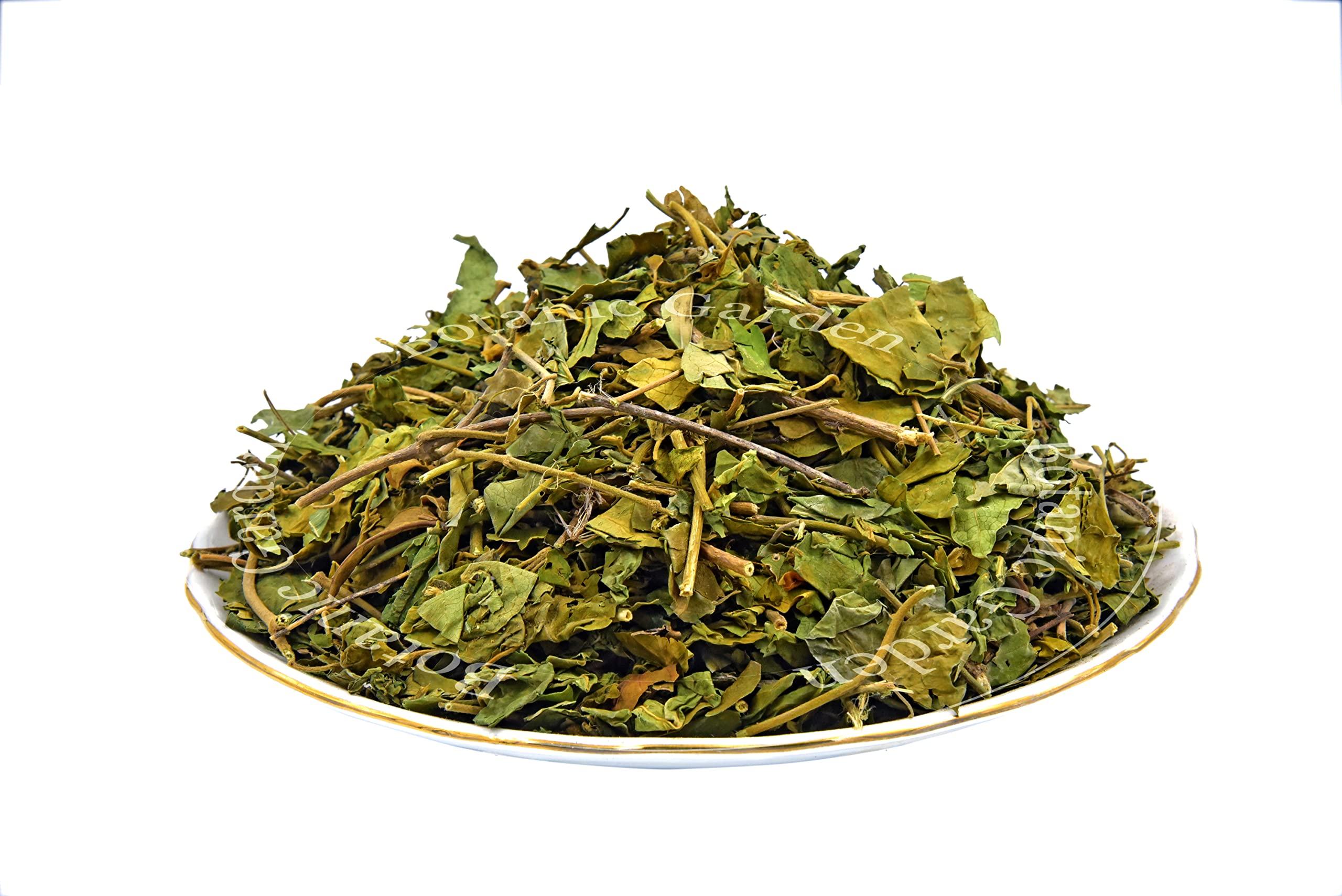 Botanic Garden Botanic Garden Raw Gudmar Patti Herb | Gymnema sylvestre | Meshashringi | Australian Cow Plant (500g)
