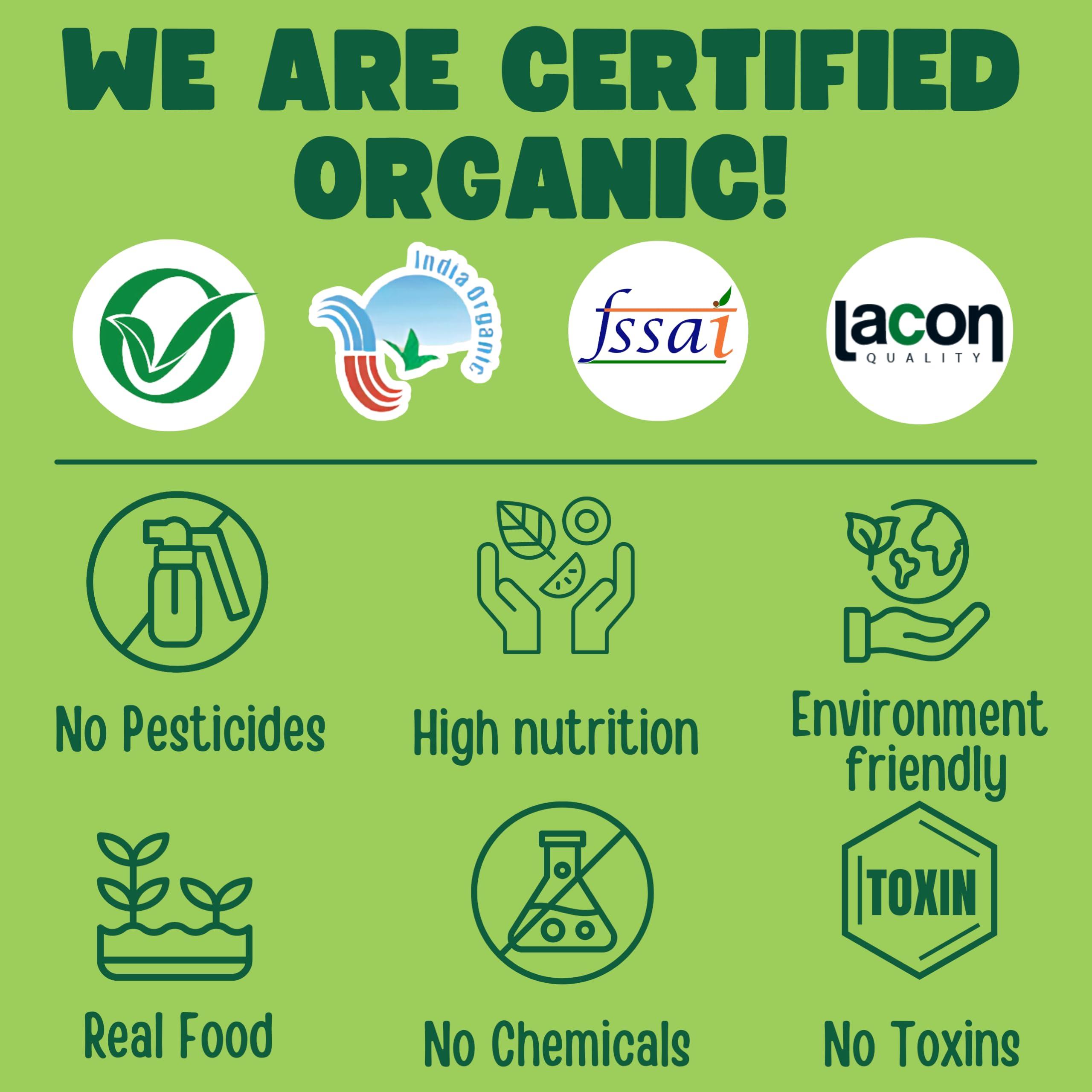 TUMMYFRIENDLY FOODS ; BIO-AVAILABLE NUTRITION TummyFriendly Foods Certified Organic Sprouted Ragi Flour For Little Ones. Made of Organic Sprouted Ragi Powder. Sprouted Ragi powder, rich in Calcium, Iron, Fibre & Micro-Nutrients. No Sugar, No Salt, No Milk, No Chemicals, No Pesticides. Ragi Sari