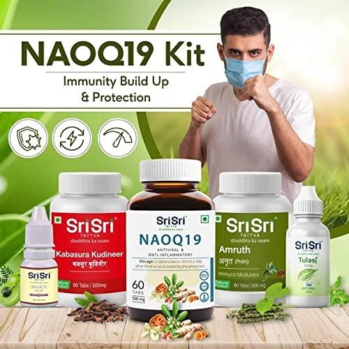 Sri Sri Ayurveda Tattva Sri Sri TATTVA NAOQ19 Immunity Build Up & Protection 60 Tablet (Pack 1)