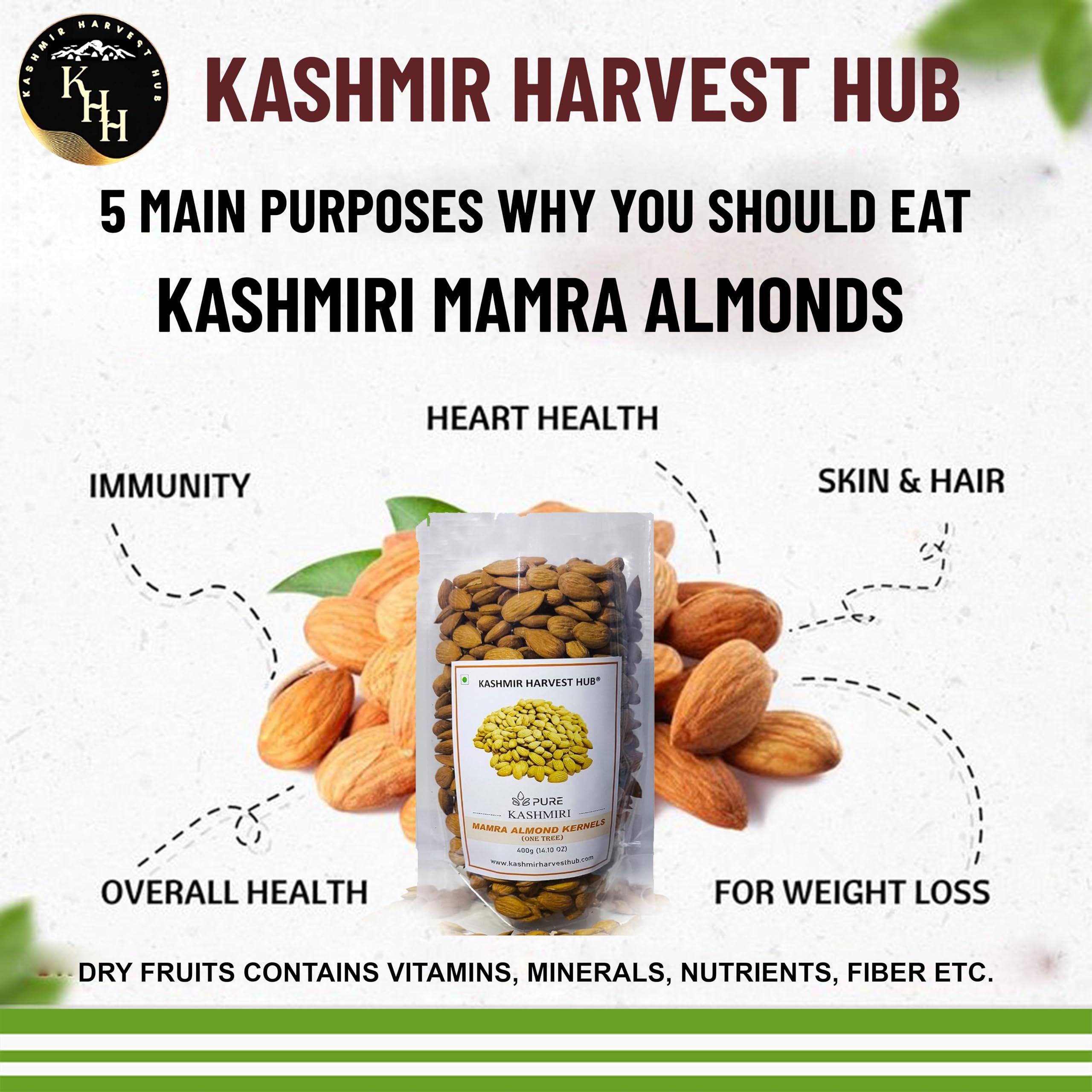 KASHMIR HARVEST HUB Kashmir Harvest Hub Pure Kashmiri Mamra Almonds - 400g | 100% Natural | Authentic | Organic | A++ Grade | Rich Oil Content (Pack of 1)