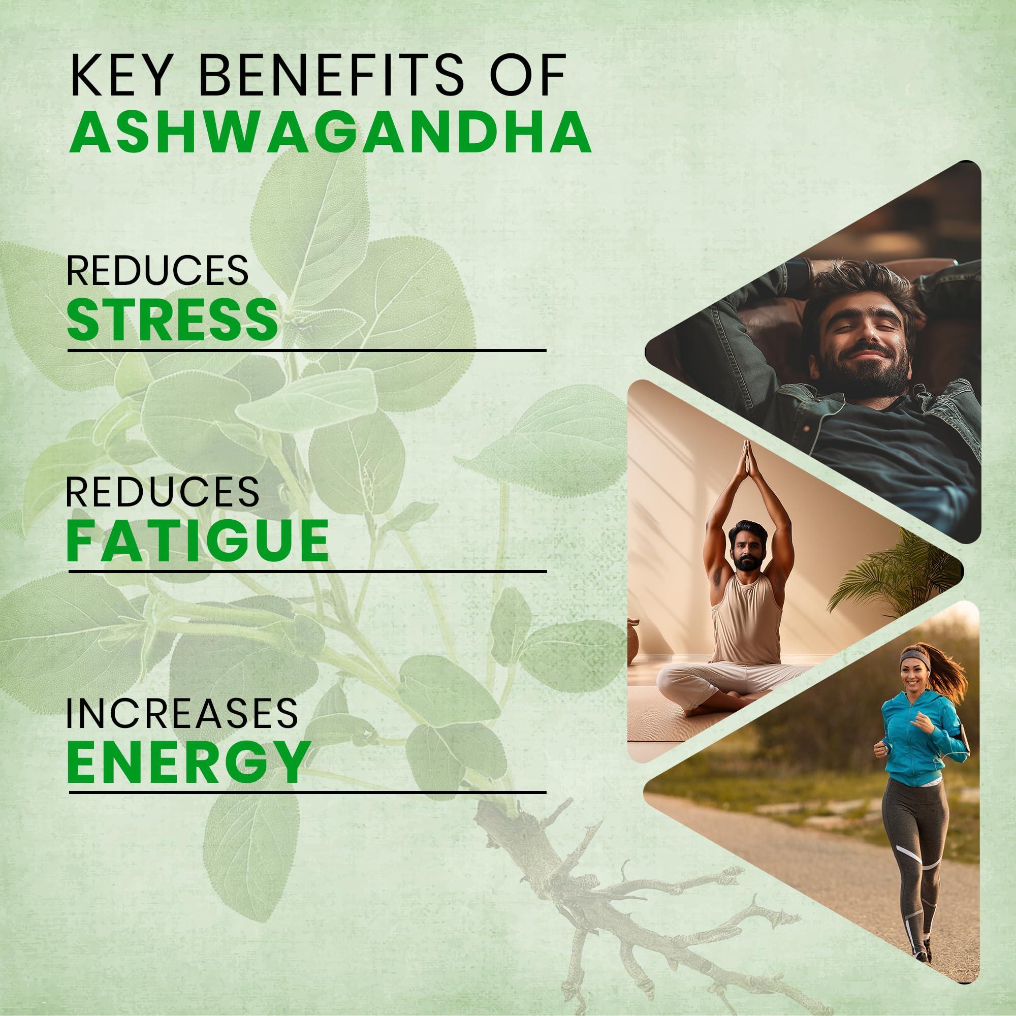 ECOHERB ECOHERB Ashwagandha Tablets I Immunity booster I Antioxidant I Rejuvenate mind & body | 60Tablets