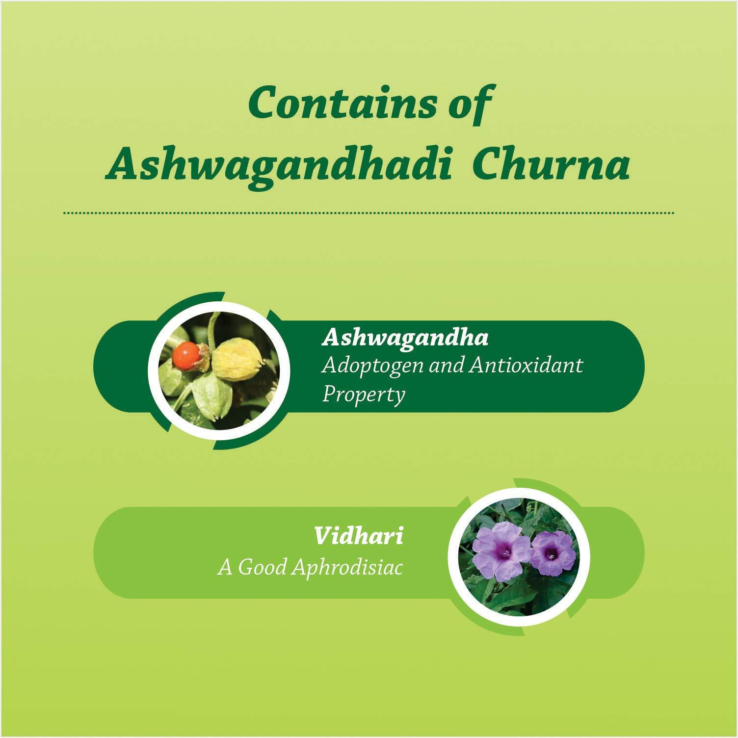 Baidyanath Baidyanath Ashwagandhadi Churna | Ashwagandha Helps to increase Immunity & Stamina - 100 g (Pack of 2)