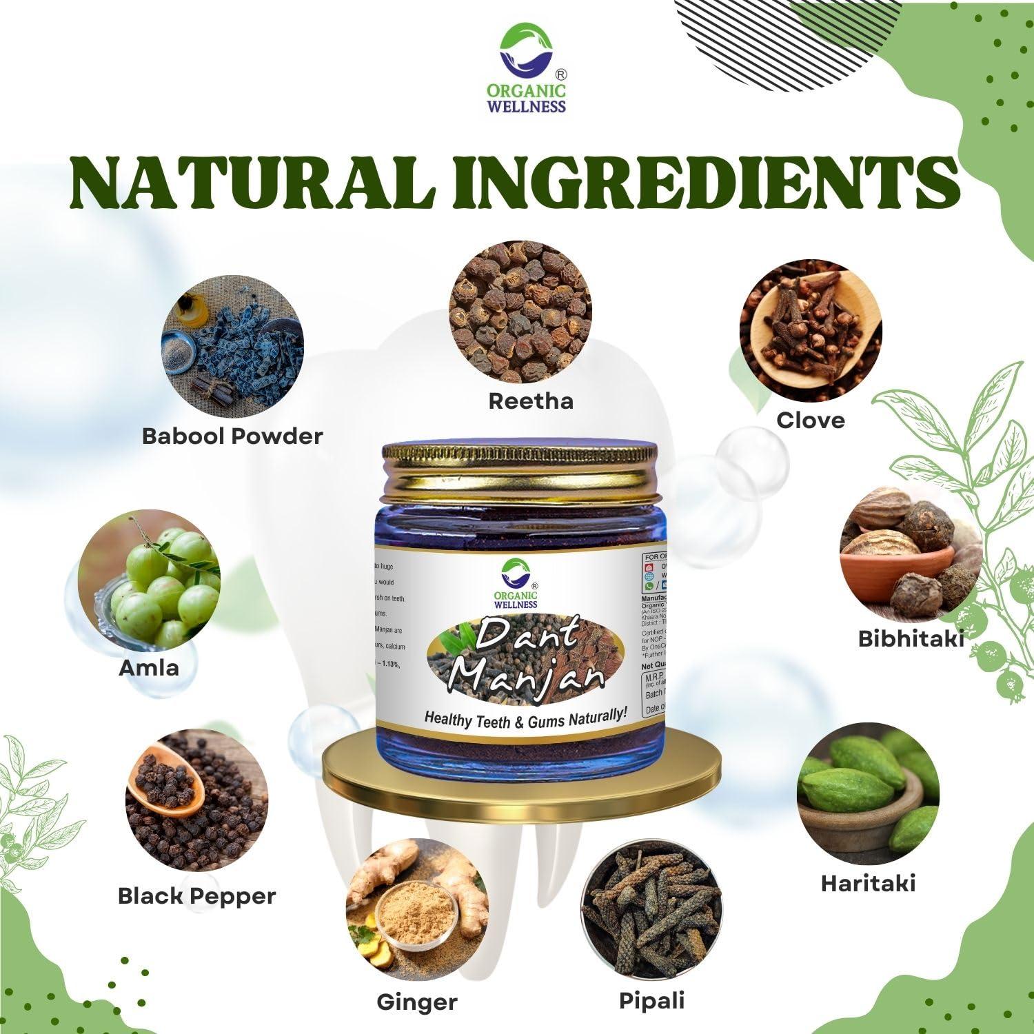 Organic Wellness ORGANIC WELLNESS Dant Manjan Tooth Powder 50 Gram Bottle II Bad Breath II Teeth Whitening (Pack of 2)