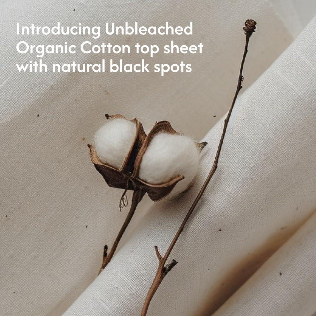 Anandi Anandi Panty Liners For Women | Daily Use Liners 190mm - 40 Pieces | Biodegradable Compostable Organic Liner | Certified 100% Organic Cotton Top Sheet