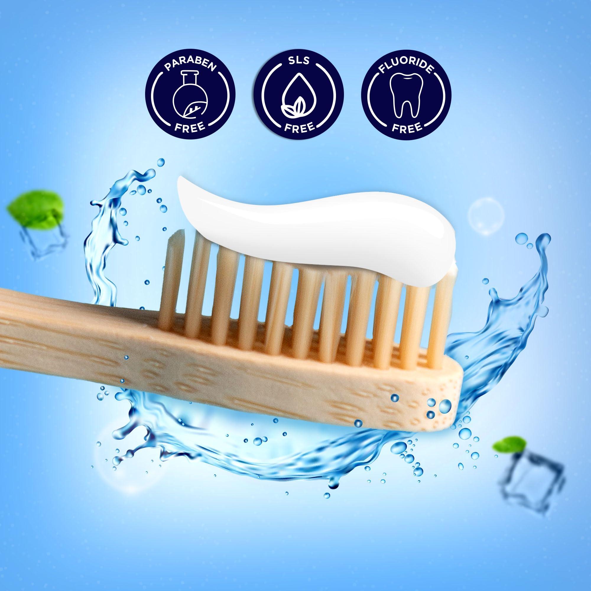 DENTE91 Dente91 Enamel Pro Toothpaste| Sensitivity Relief | Repairs Cavities | Fights Gum Disease | Reduces Bad Breath | Strengthens Enamel | SLS Free | Fluoride Free | Paraben Free | Pack of 2, 2 X 70g