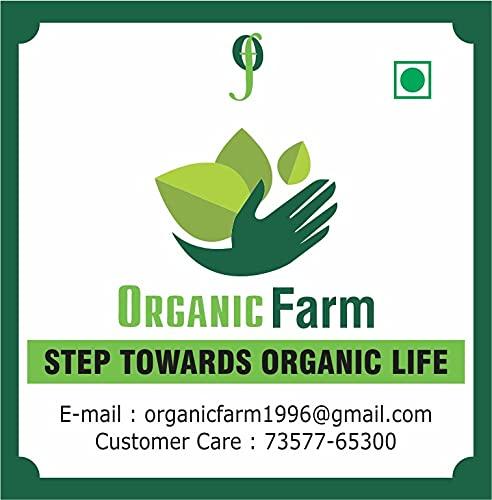 Organic farm Organic Farm Whole Papad Khar / khada Papad Kharo / Alkaline Salt (400gm)