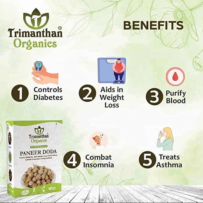 TRIMANTHAN ORGANICS TRIMANTHAN ORGANICS Paneer Phool For Diabetes (Paneer Dodi | Paneer Doda | Paneer Ka Phool | Indian Rennet | Withania Coagulan (400)