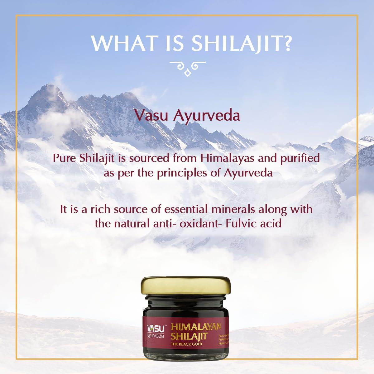 VASU VASU Ayurveda Pure Himalayan Shilajit Original Resin | Provides Energy & Strength | Powerful Anti-oxidant | Immunity Booster - 20g