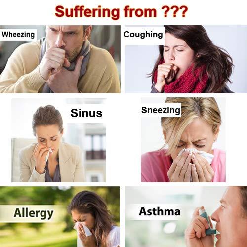 SRI SHIRDI SAI DHANVANTHARI PHARMACY SRI DHANVANTHARI KASA SUDHAKALPALM 200 ml - Pack of 5