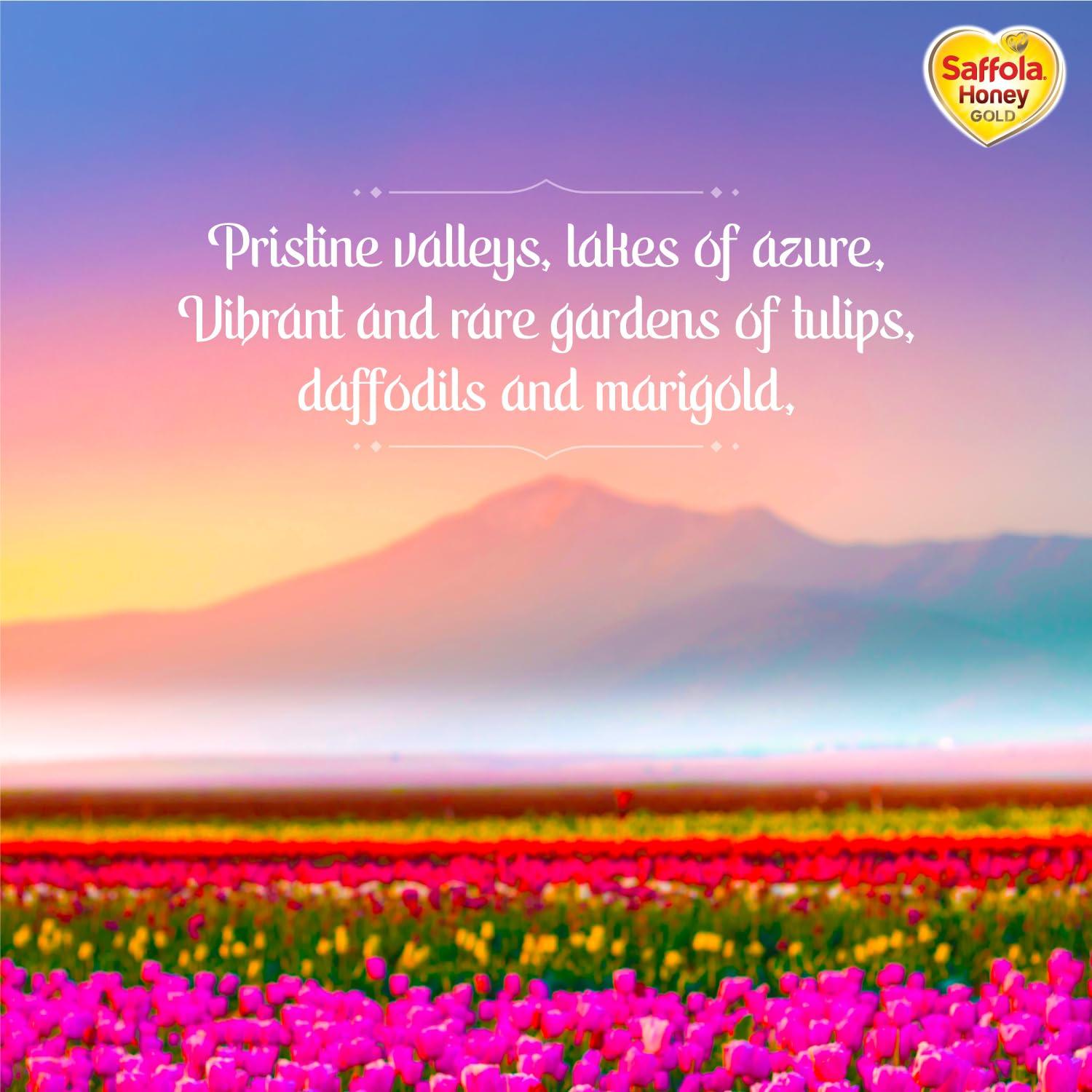 Saffola Saffola Honey Gold, 100% Pure Honey, Made with Kashmir Honey, 500g