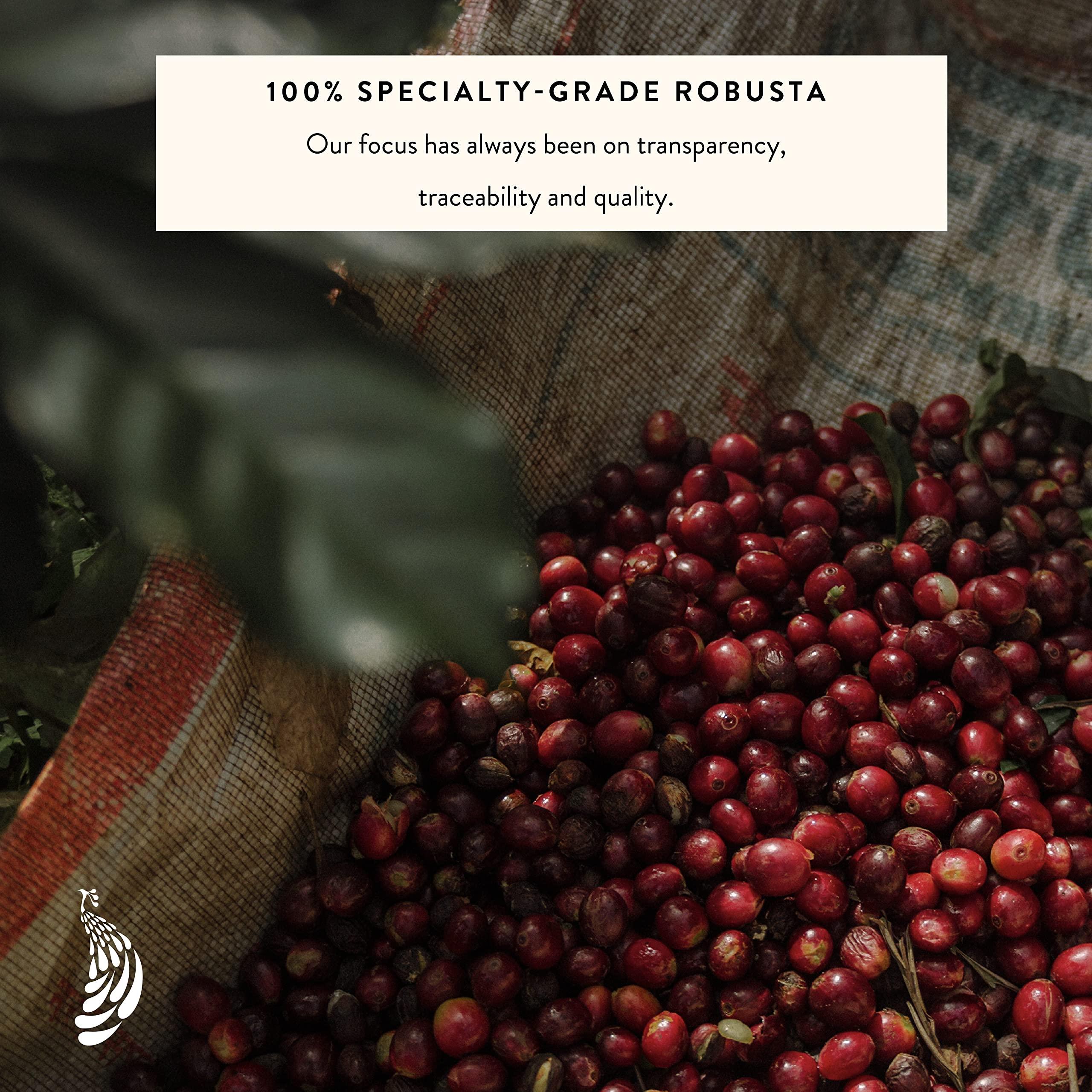 Blue Tokai Coffee Roasters Blue Tokai Coffee Roasters Silver Oak Cafe Blend - Medium Roast (South India Filter) 500g | Made With 100% Specialty Grade Arabica Freshly Roasted Ground Coffee, Bag