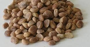 SAARA SAARA Herbal Fresh Sara Paruppu,150Gm, Chironji, Mural Maram, Cheronjee, Korka, Charoli,(Pack Of 1 X 100Gm, Pack Of 1 X 50Gm)