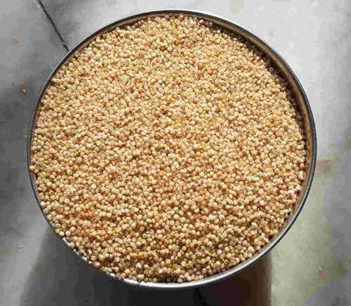 Youpick Aplenty Samak Chawal 400g | Sama Rice For Fast | Samvat Ke Chawal | Barnyard Millet | Vari | Bhagar for Vrat | Navratri Upwas Rice | ( / )