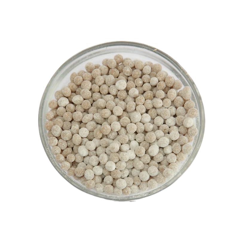 DILBAHAR'S Dilbahar's Yummy Digestive Jeera Goli Special | Pachak | Hazma, 220 Gm - Pack of 2