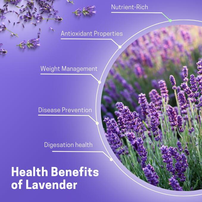 JAIVIK UTTARAKHAND Jaivik Uttarakhand Farm - Lavender Flowers Buds (50 g), Sun Dried Flowers, Lavandula angustifolia