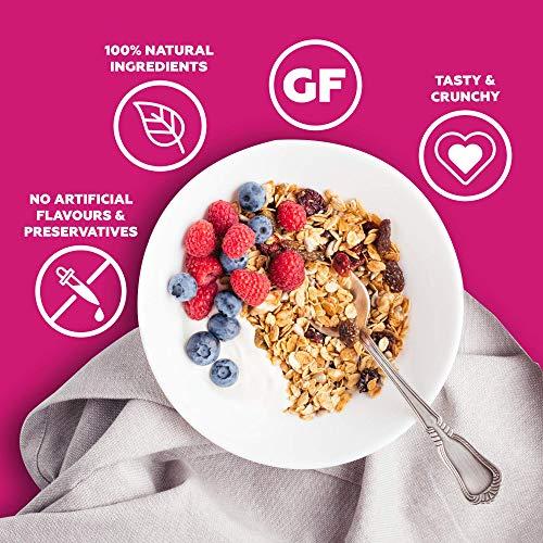 Yogabar Yogabar Muesli Fruit and Nuts - Wholegrain Breakfast Cereals with Oats and Dry Fruits, High in Omega 3, Gluten Free Vegan Granola with Chia and Flax Seeds (400g - Pack of 2)