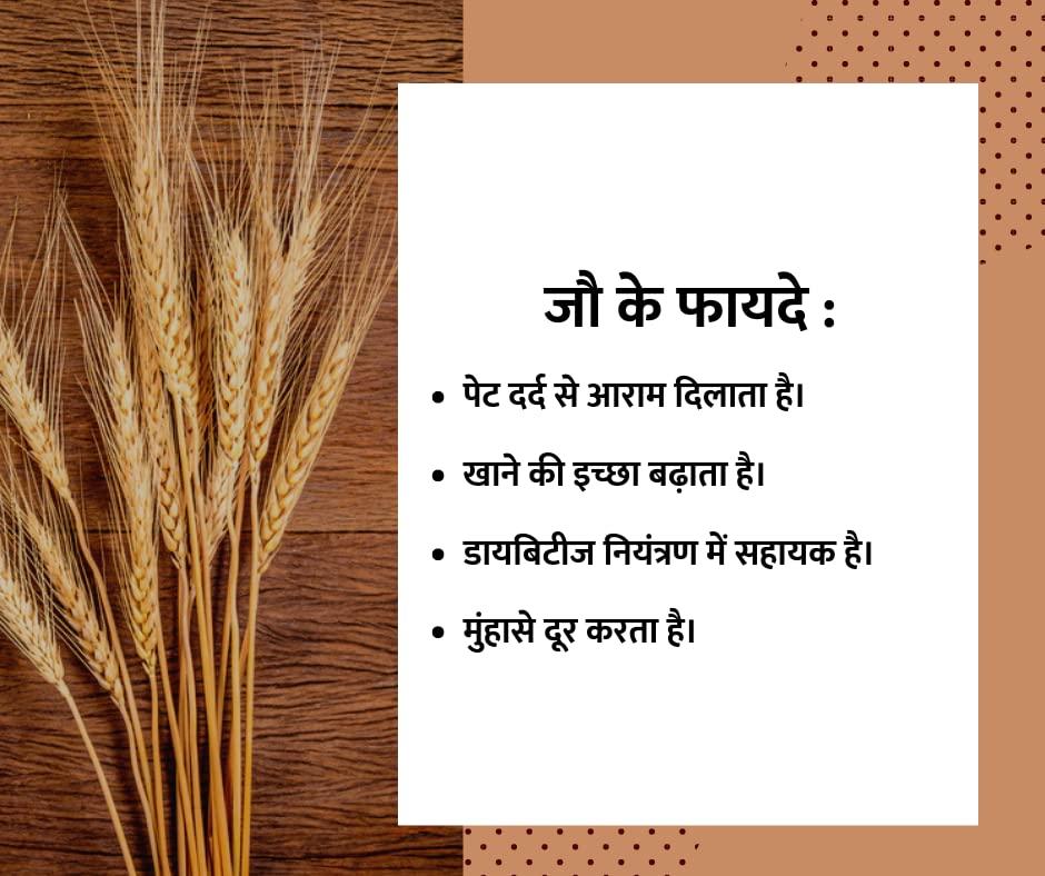 Dr.Harmann's Dr.Harmann's Rectangular Reading Glasses (Blue) (CEO +2.75)